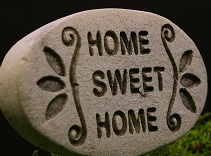 Home bias
